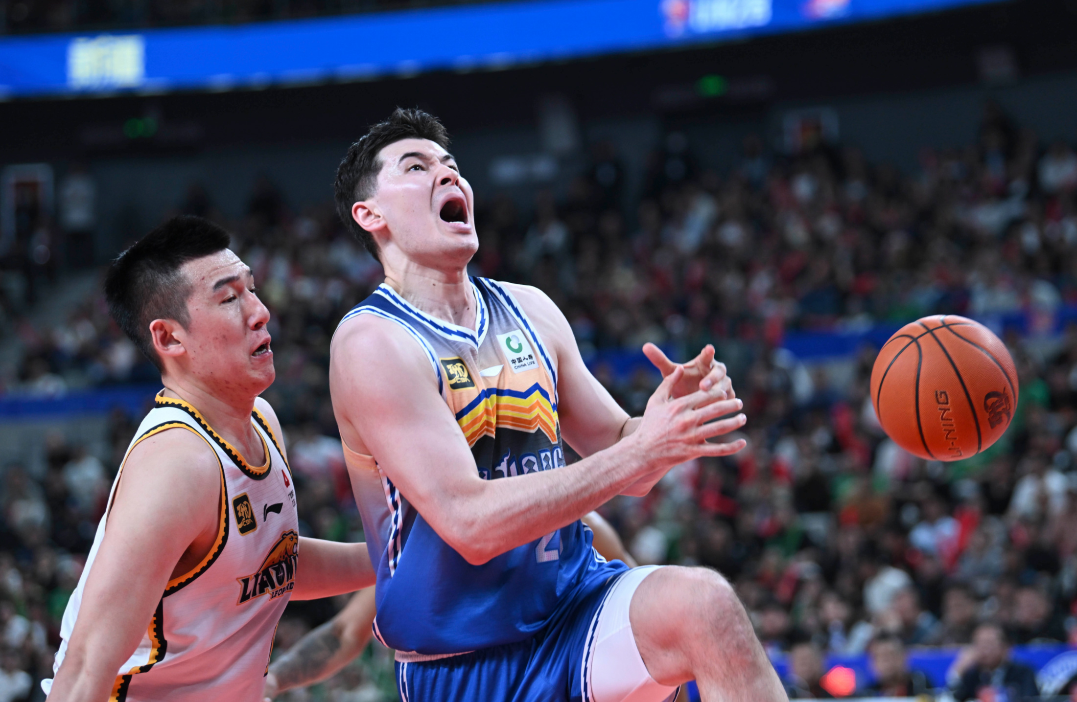 关于鹈鹕轻取北京队,赵继伟关键制胜的信息 关于鹈鹕轻取北京队,赵继伟关键制胜的信息