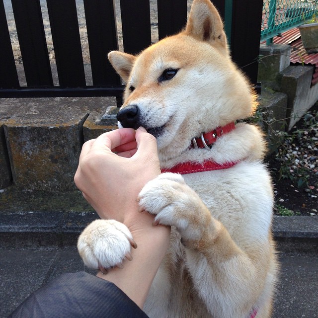 同一个夜晚,两场热血,德国队翻盘奥地利,马龙对奥地利人刷新纪录