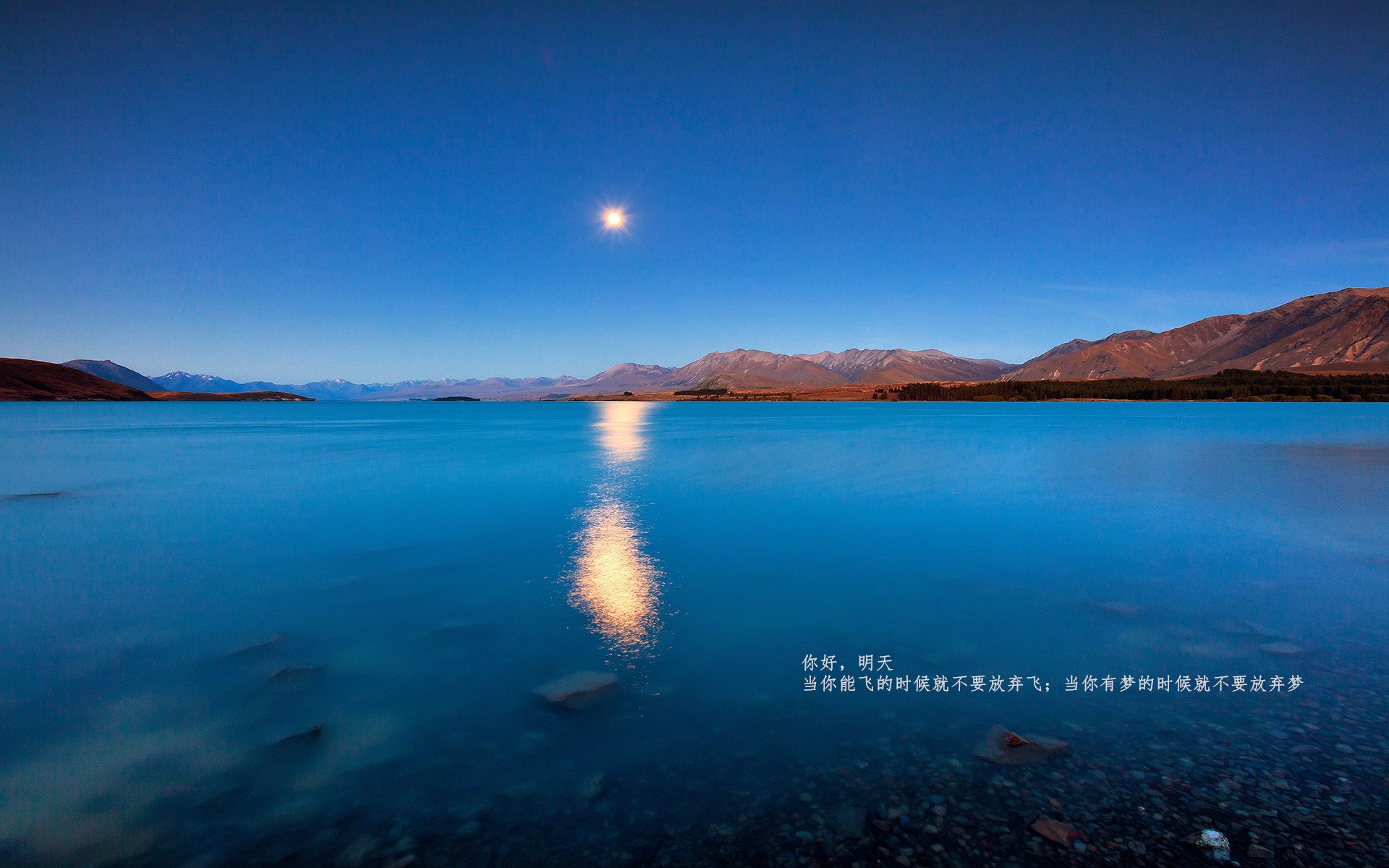 银箭与蓝狮鏖战蒙扎,周冠宇第九名的历史重量