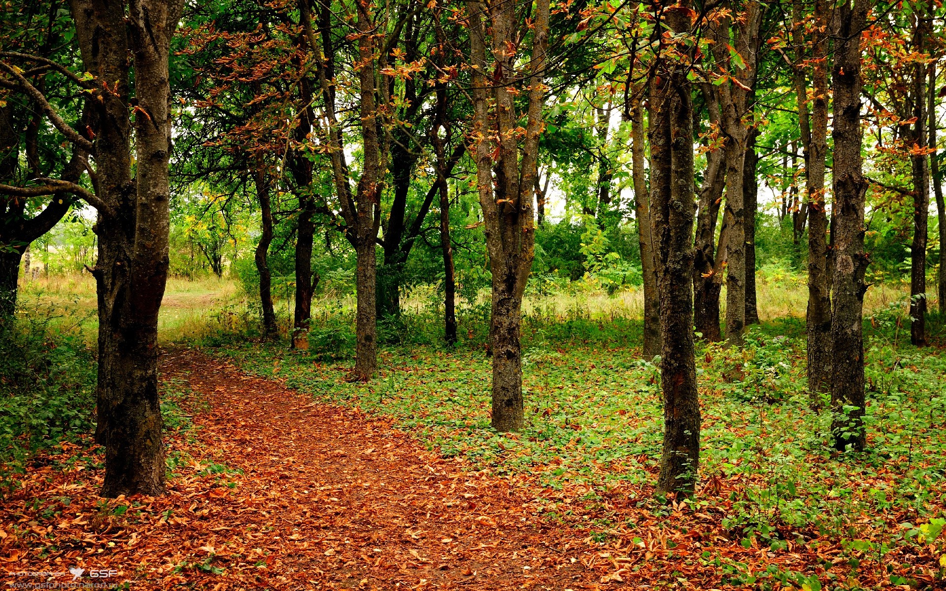 跨界对决！武切维奇发挥堪称完美，公牛队稳稳拿下辽宁队