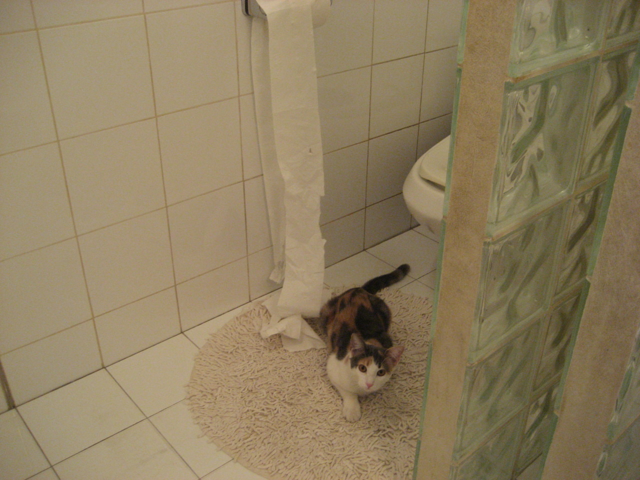 库里,在关键6秒完成运载火箭的发射