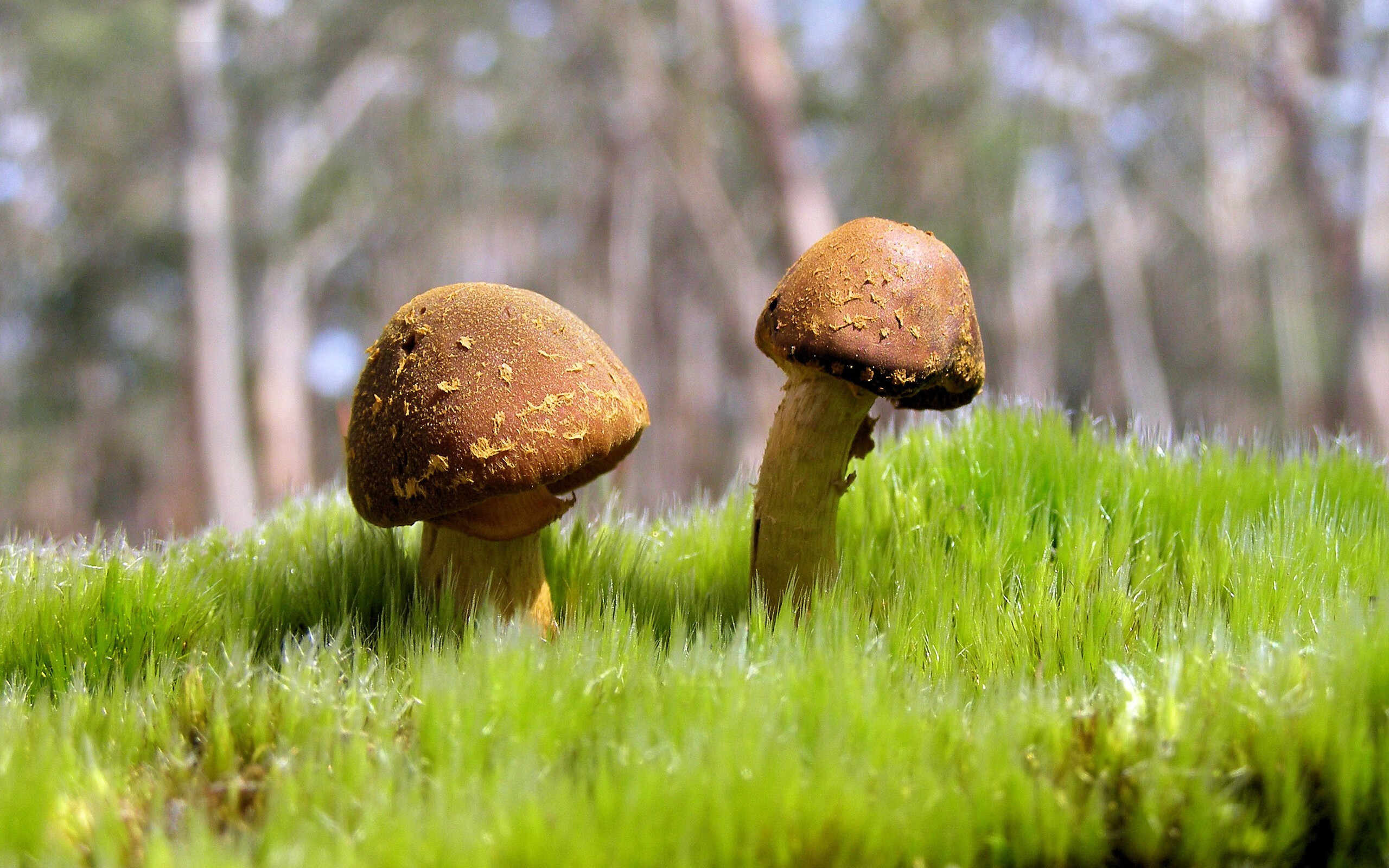 血染八角笼,爱德华兹重拳改写排名之夜