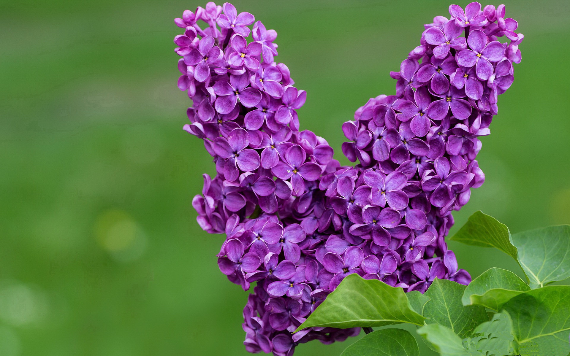 红潮风暴,伊朗闪电战终结卡塔尔王朝的年度焦点之战