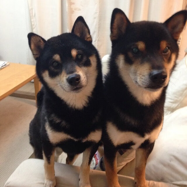 真实世界电竞模式,维尼修斯稳定输出不掉线,巴黎系统流打穿乌拉圭铁桶阵