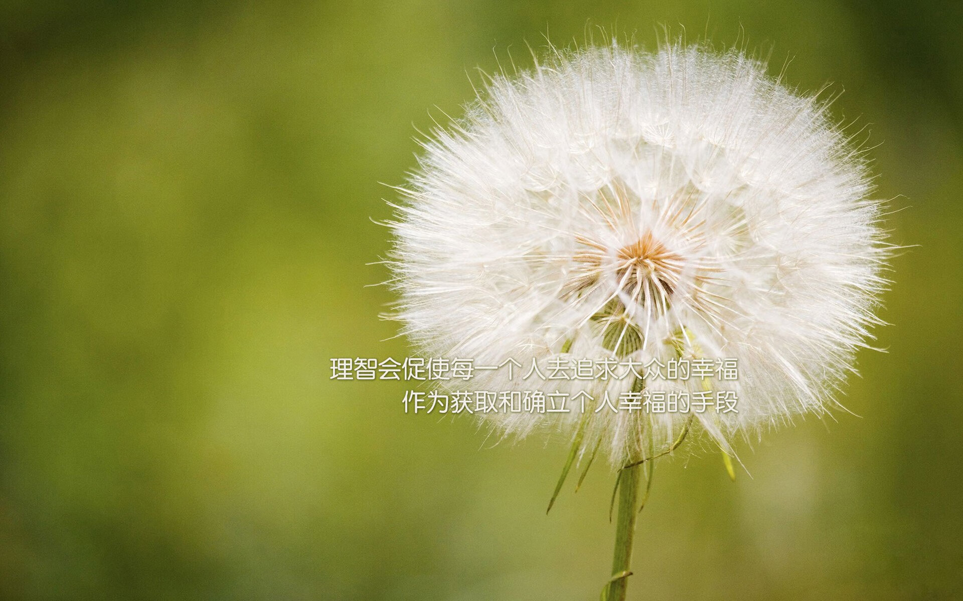 利剑与重锤,本泽马的大场面时刻与丹麦的全面压制艺术