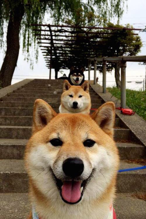 冠军之心，当劳塔罗扼住命运的脉搏，我们听见了强者的心跳