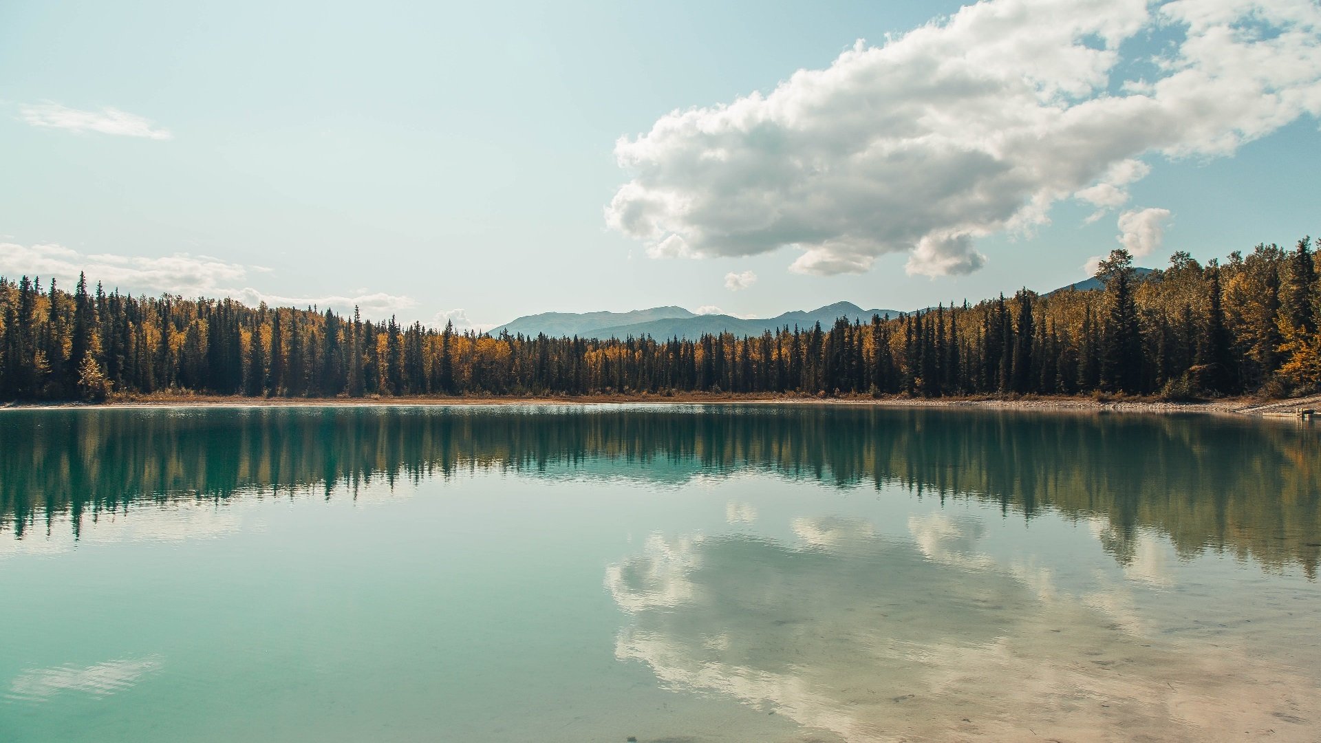 荷兰末节战术觉醒,18岁新星加维如何用一记手术刀传球撕开智利防线?
