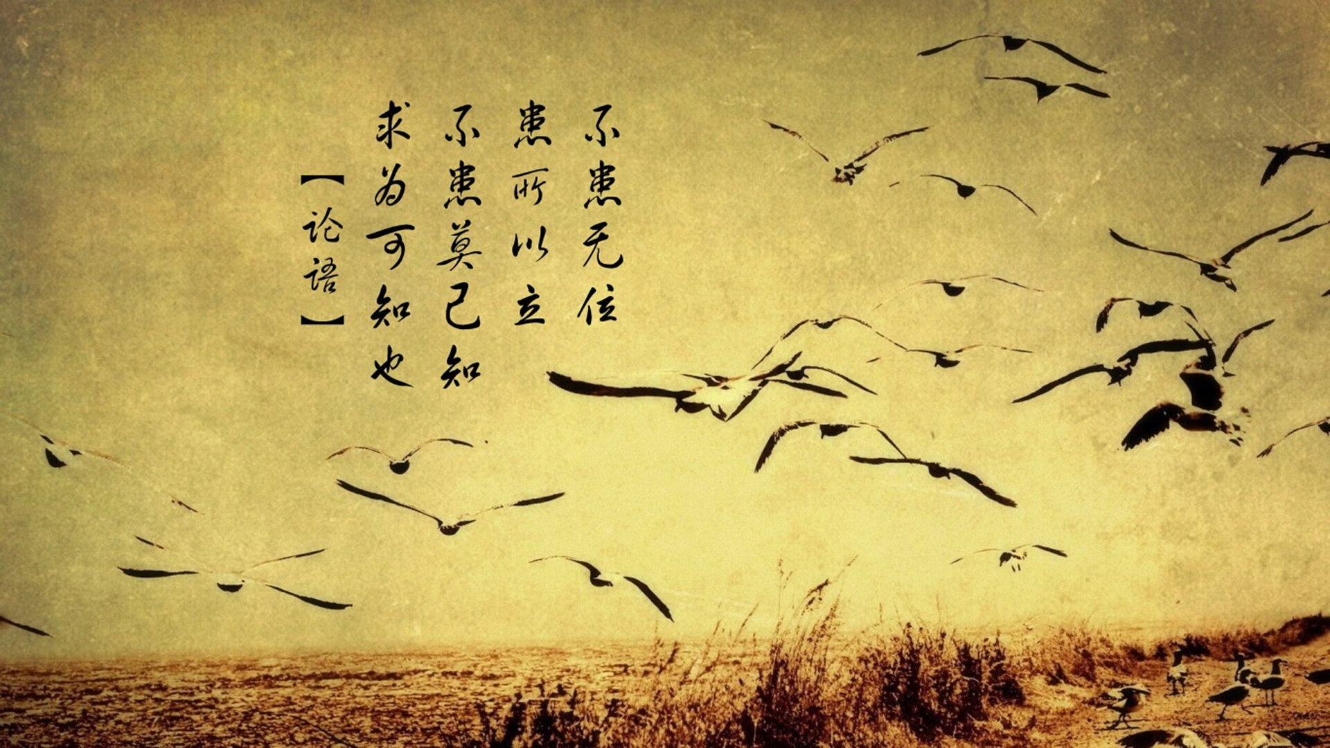 硬仗王觉醒!西亚卡姆0.8秒神迹扼杀国王,黄蜂险胜藏蜕变密码