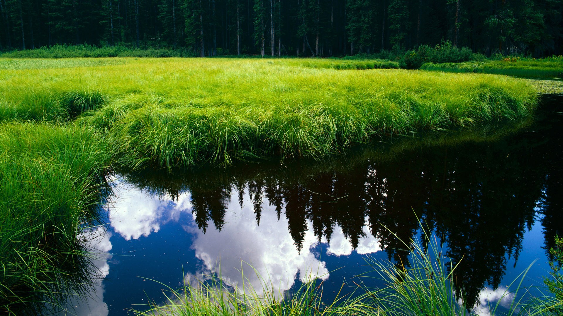 错位时空的篮筐回响,当广东队跨次元淘汰森林狼,莫兰特在规则裂缝中持续制造杀伤