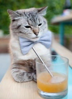 约基奇式绝杀，当关键先生在300毫秒内改写两场历史