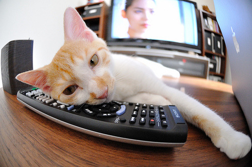 绝境之王,米切尔最后93秒导演热火惊天逆转