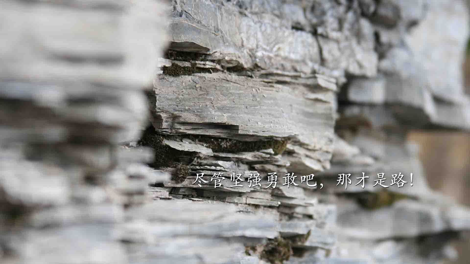 数字与丝绸，当F1的精密计算闯入巴黎的感性战场