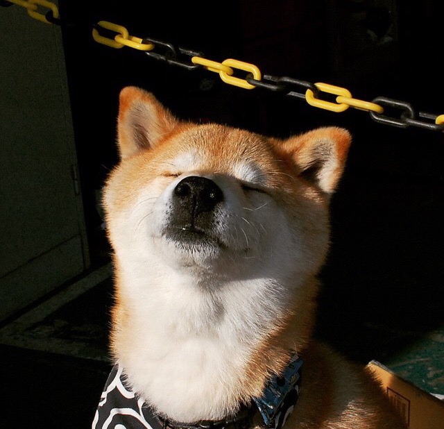 重剑无锋，当低调的淬炼者，决定接管舞台