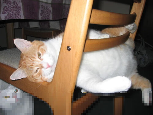 钢铁之翼，阿什拉夫末节风暴，重新定义米兰德比