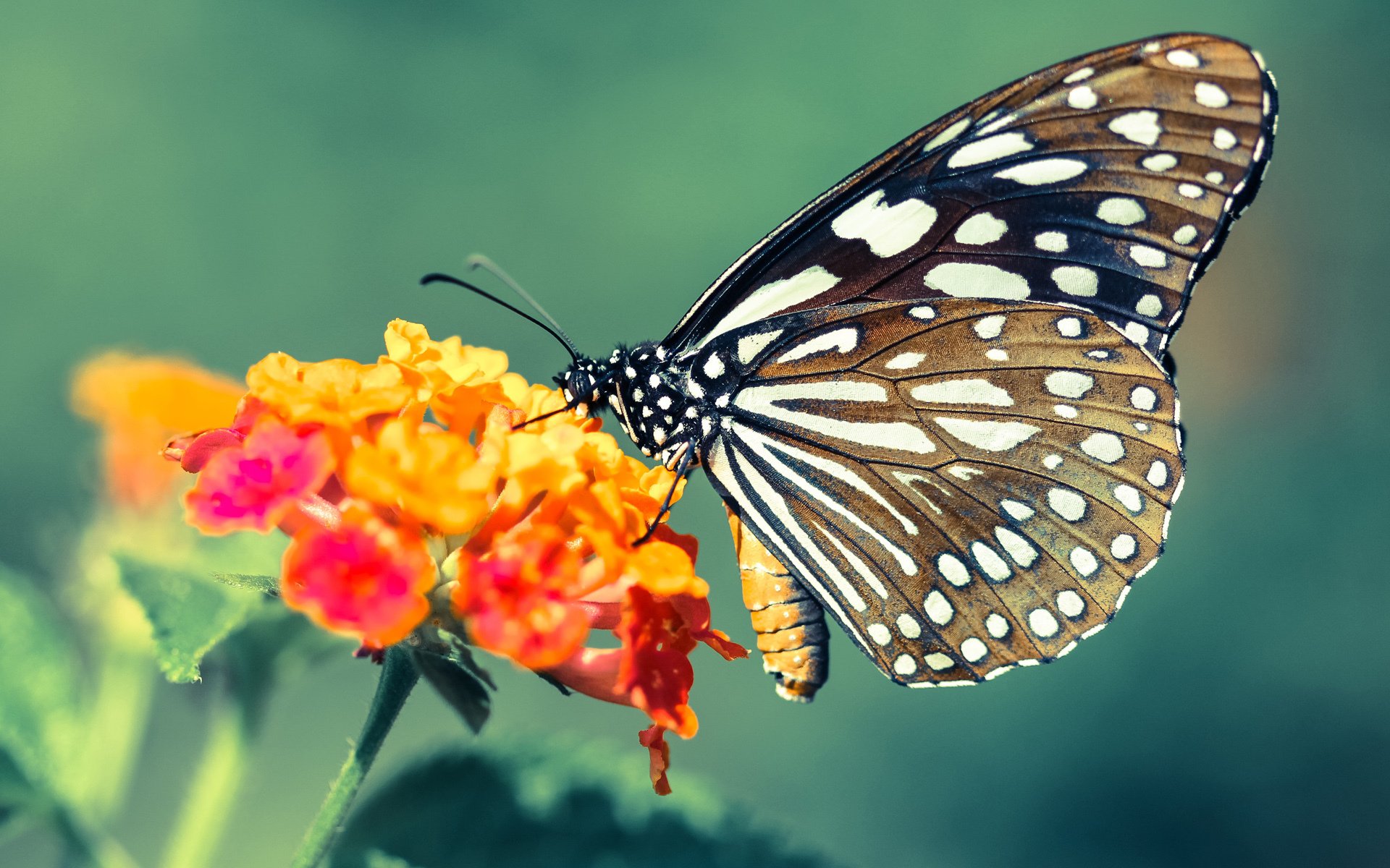 2019.10.9与2026.9.2,当两种奇迹在记忆中重叠