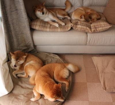 极速弯道与热血拼杀，当F1街道赛的精密遇上篮球场的血性