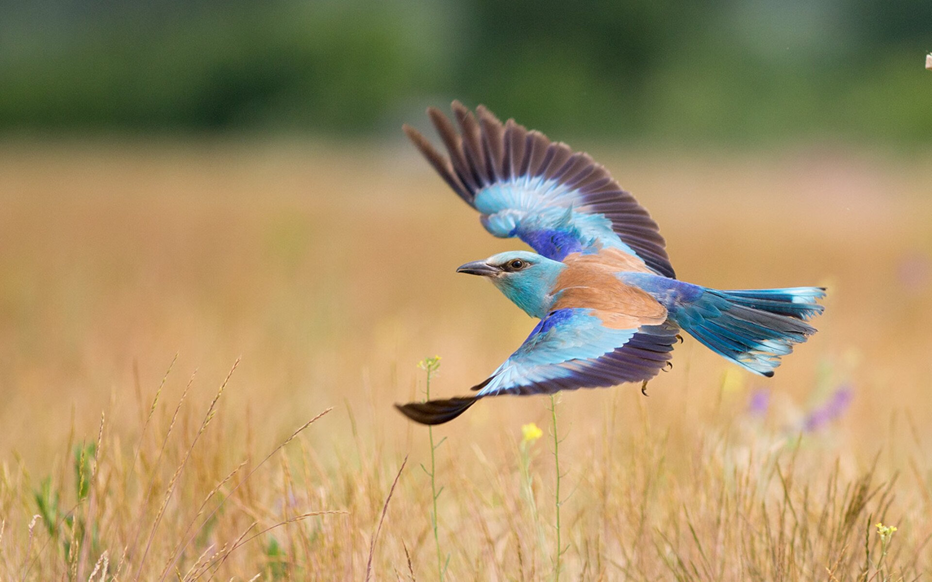 孤星燎原,欧文48分焚毁北岸花园,亚特兰大逆天改命的史诗一夜 当末节之王邂逅团队风暴,老鹰用凯尔特人最擅长的方式完成了世纪审判