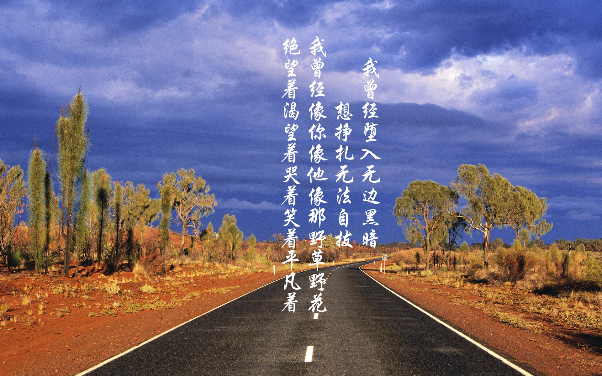 橙衣风暴，2026，荷兰用一种非荷兰的方式，宣告了足球王权的更迭