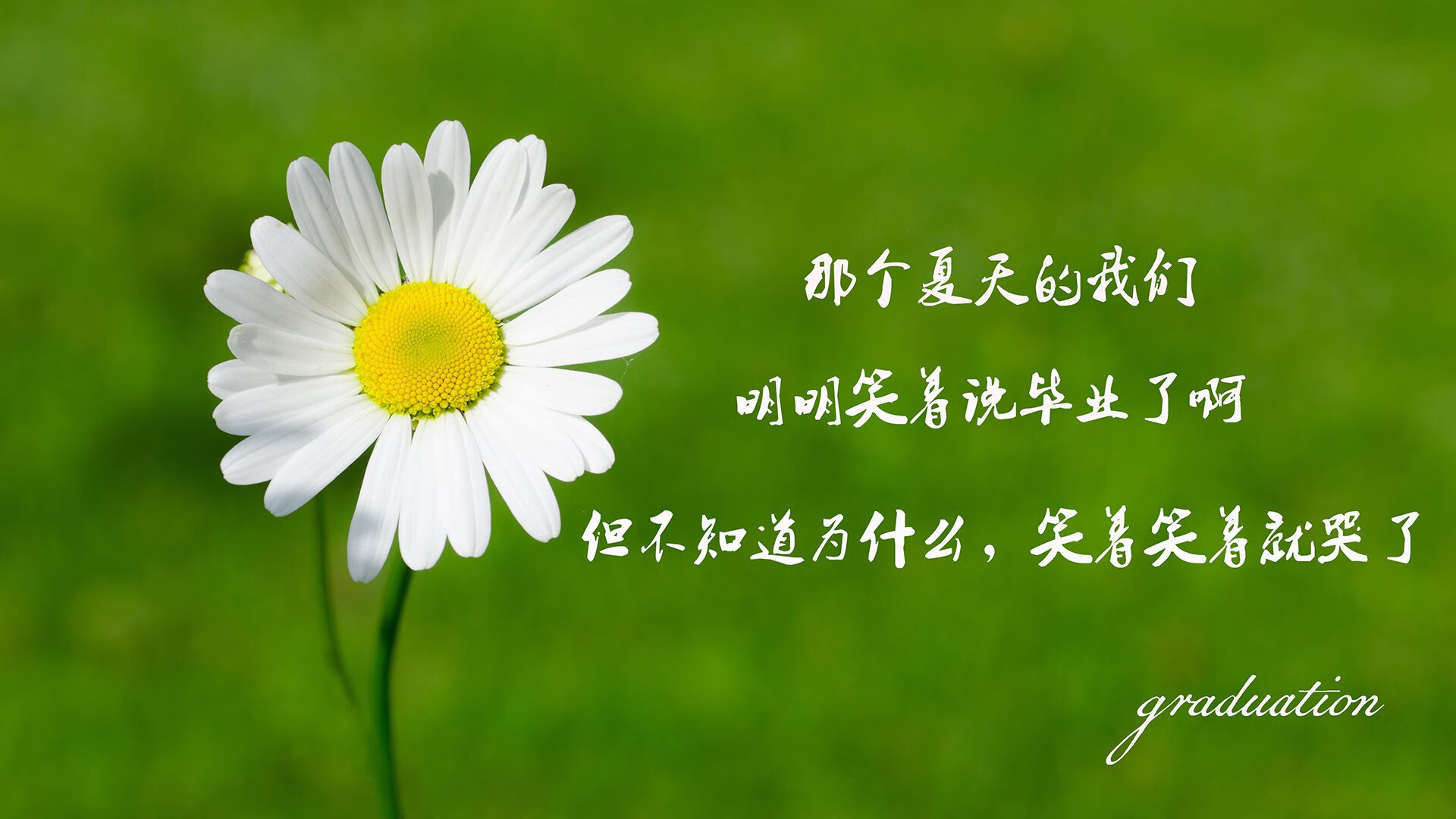 喀麦隆雄狮怒吼，2026世界杯C组惊天冷门，奥斯梅恩独造三球碾碎德国战车
